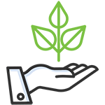 Emerald Landscaping - Installation